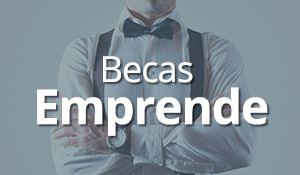 Becas Emprende